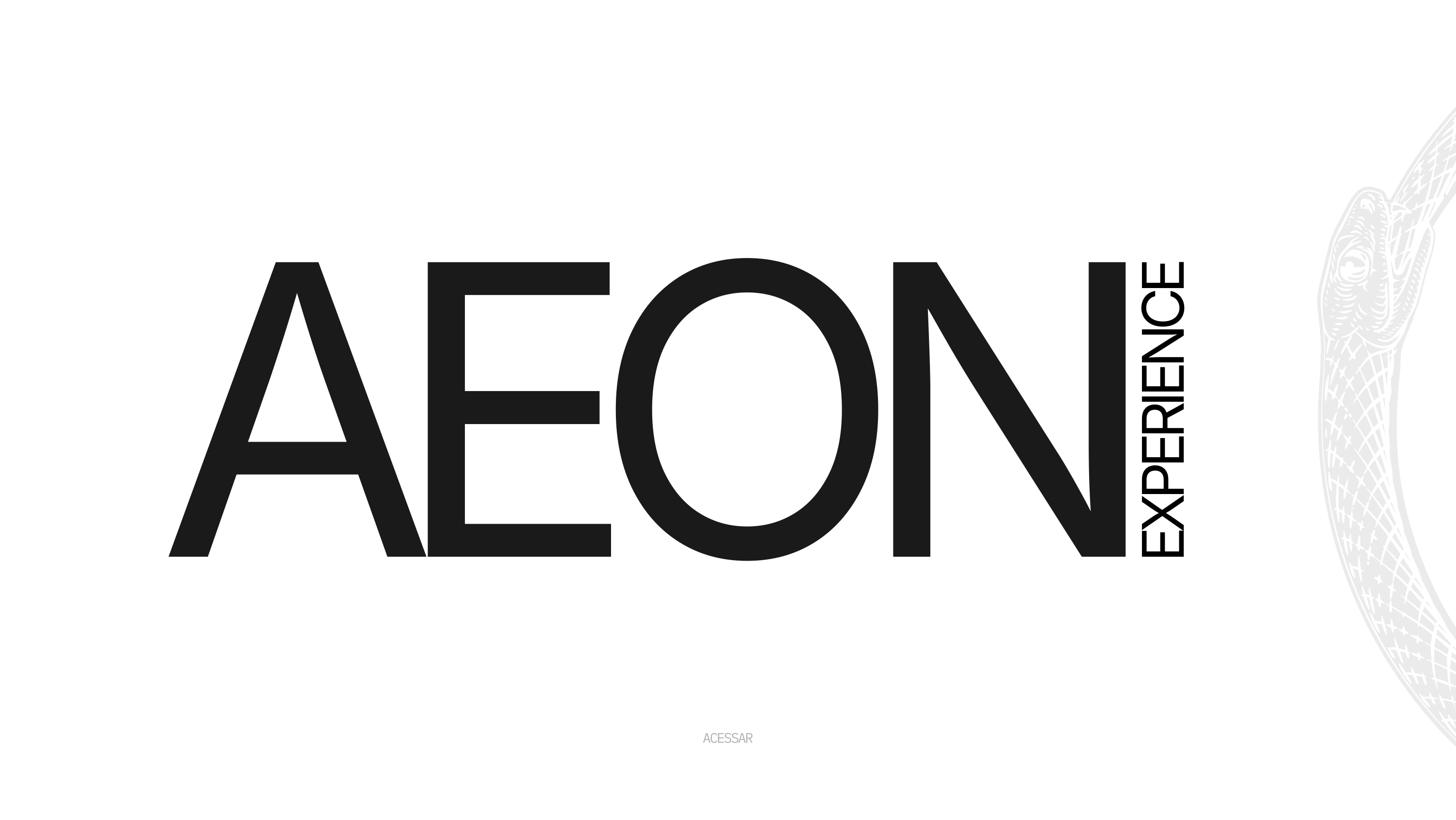 AEON Experience
