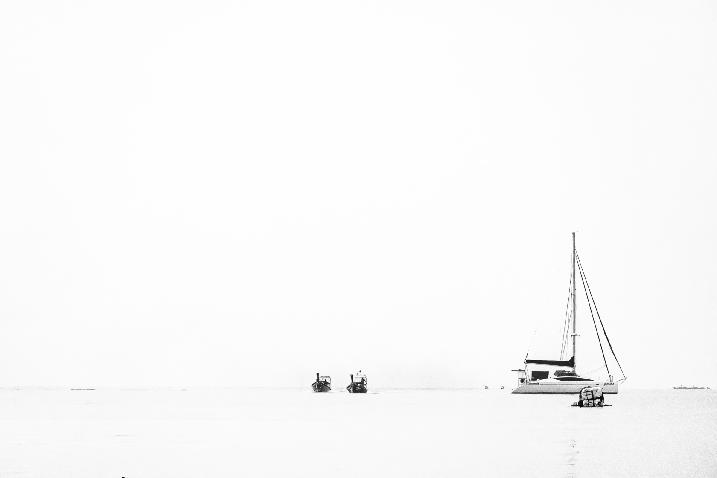 E Ainda Sou Pescador, fotografia final