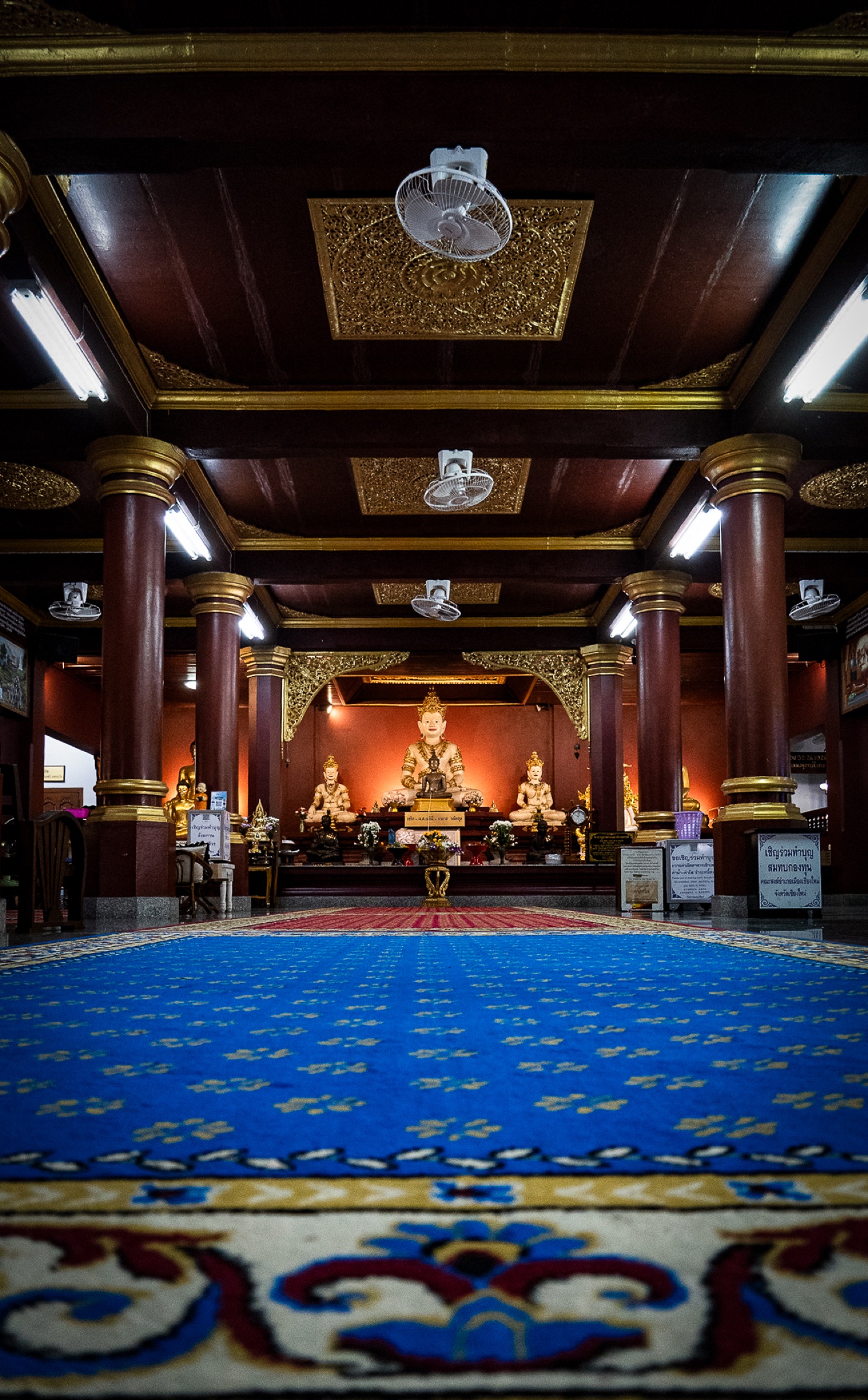 Os Meninos do Templo, fotografia 06